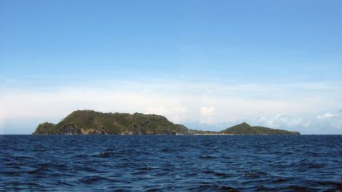 Apo Island (Negros Oriental)