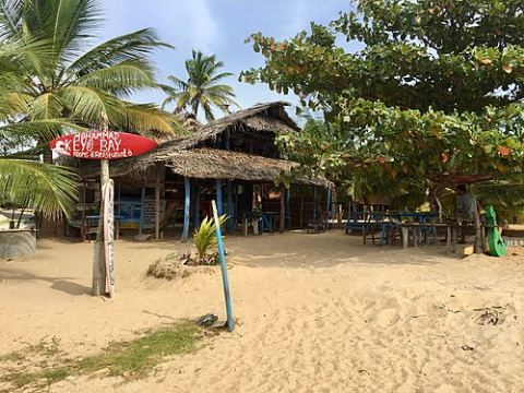 Arugam Bay