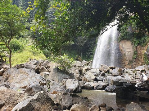 Betong