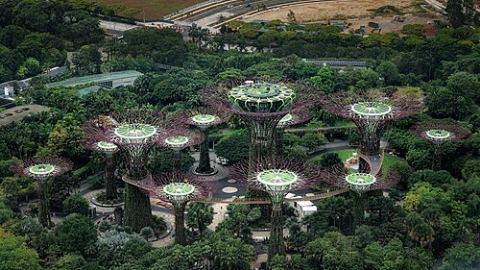 Gardens by the Bay