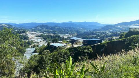 Gua Musang