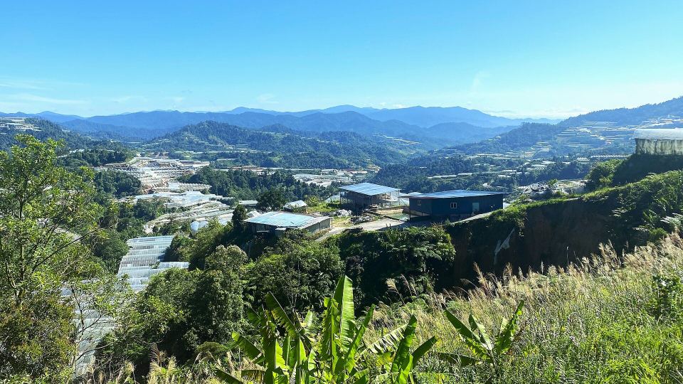 Gua Musang