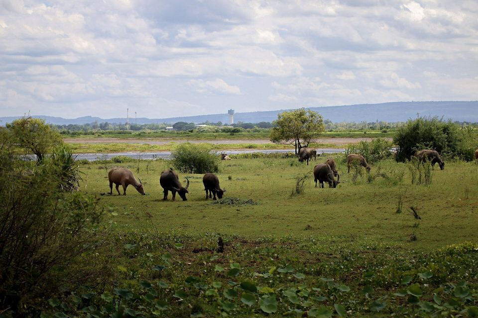 SakonNakhon